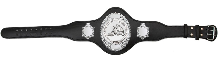 JIU JITSU CHAMPIONSHIP BELT-PLT286/S/JJS-4 COLOURS JIU JITSU CHAMPIONSHIP BELT-PLT286/S/JJS-4 COLOURS